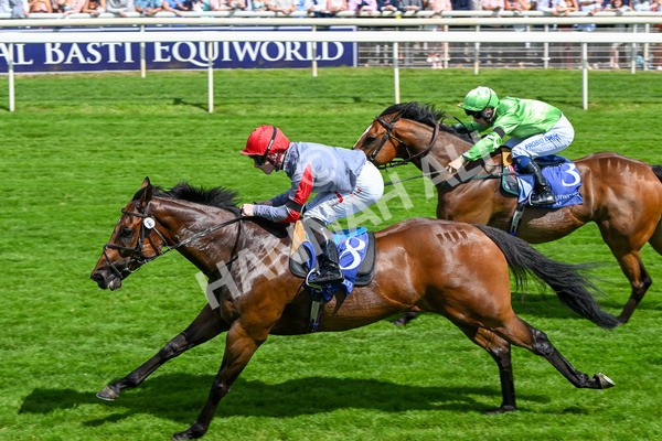 280625-Race 3-Squealer-0258 - Race 3 3.00pm Al Basti Equiworld Dubai Dash Handicap