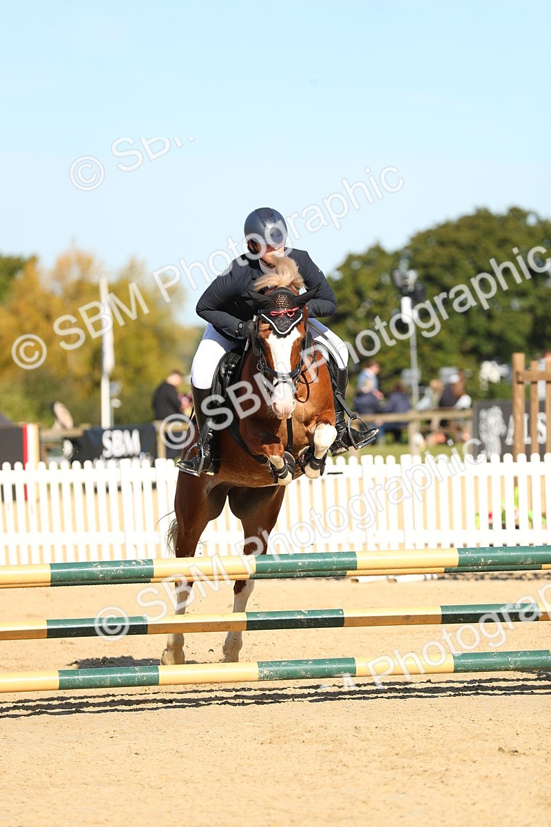 SBM_16713 - J33 - Senior 75cm Championship