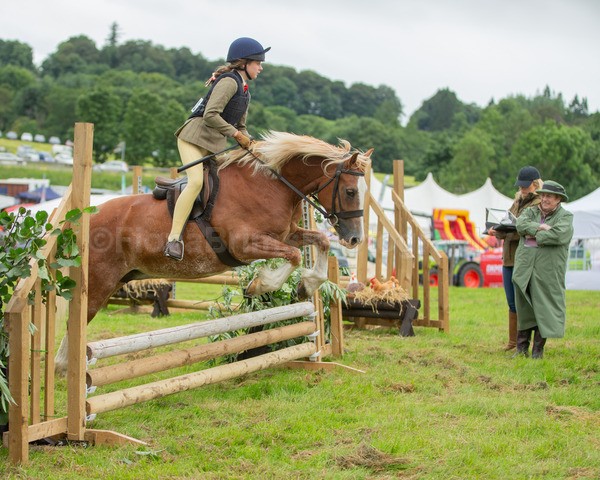 Dunblane show-167 - Dunblane and Doune Show Ring 1
