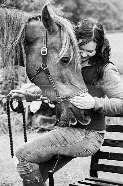 cheeky-horse-looking-for-treats - Equine Gallery Portfolio