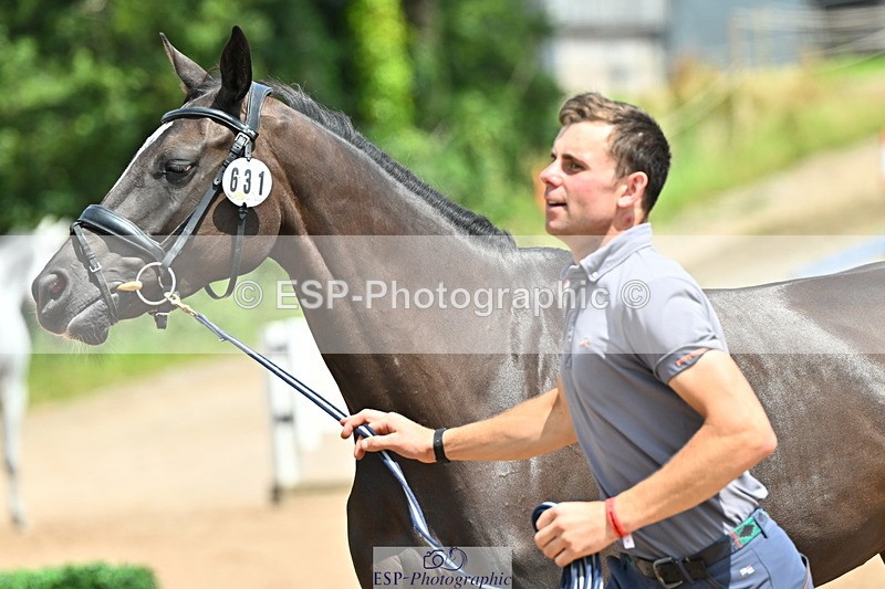 240718A-105313-01720 - Trot Up 1pm to 2pm