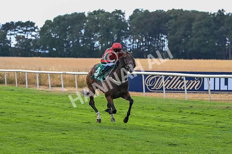 010826-Race 7-Maldevious-3478 - Race 7 16.55pm John Joseph Robson Memorial Handicap