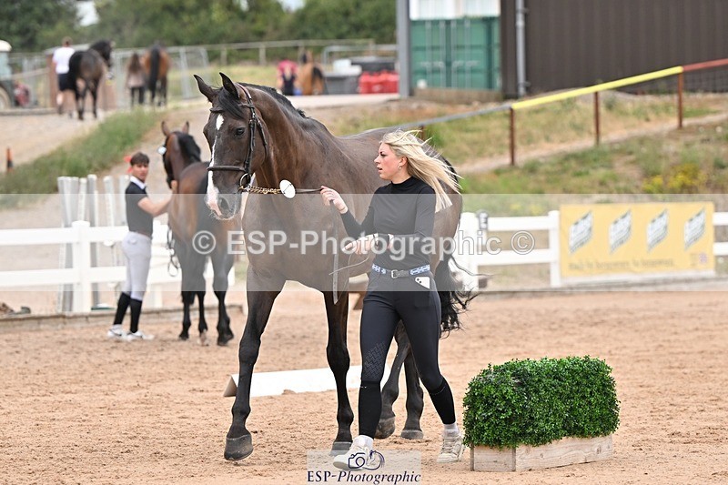 250716-160114-02348 - Trot Up 3.30 to 4.30