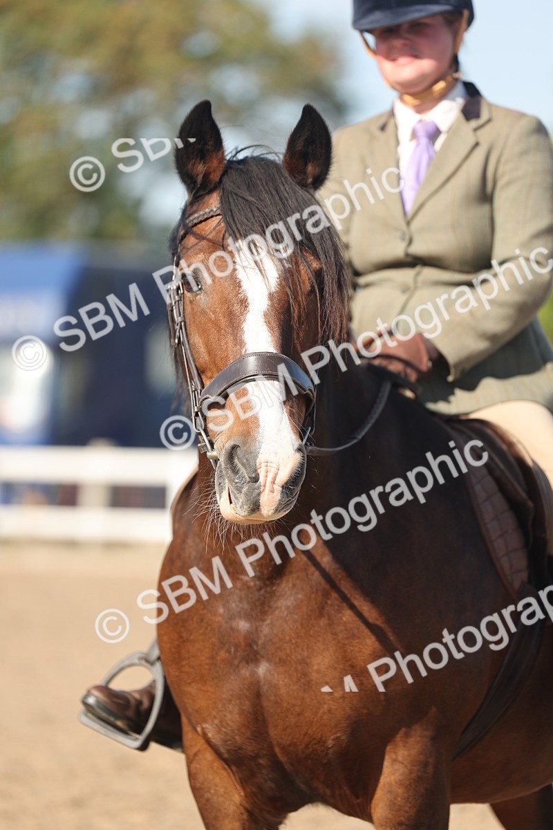 SBM_12386 - Class 304 - Ridden part Bred Horse Pony