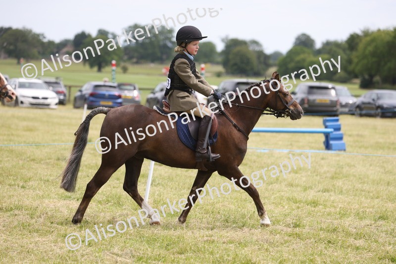 20260614-2870 - Class 22 - Open Working Hunter