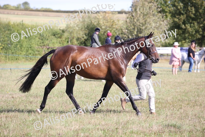20260906-0740 - Class 22 - Ex Racehorse