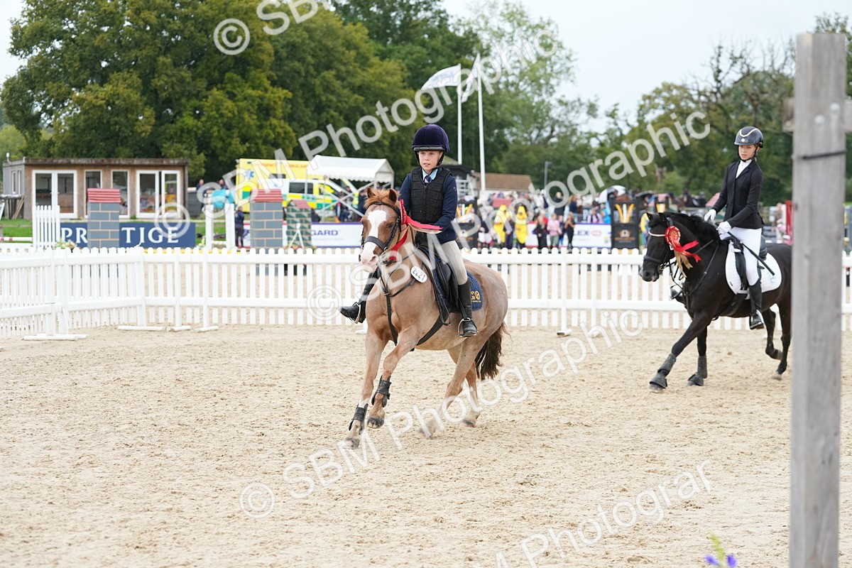SBM_40919 - Supreme Championship Pony 50-55cm