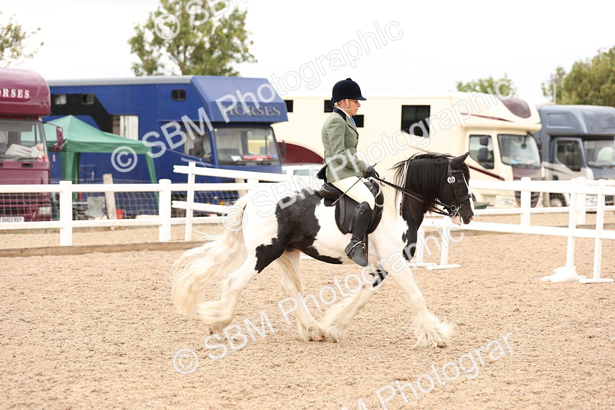 SBM_19645 - Class 216 - Ridden Traditional - Native Cob