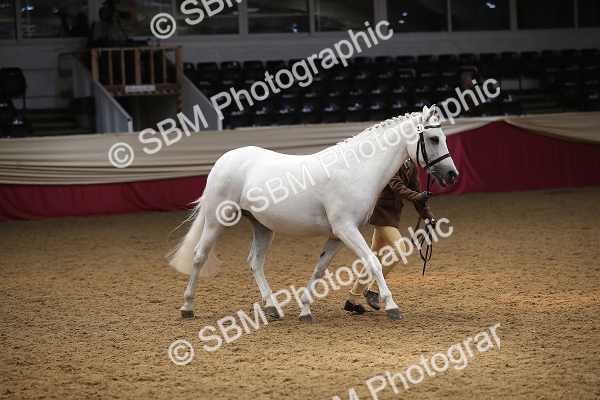 SBM_05371_Class 8r - Regional - IH Veteran - Vicky Gutteridge