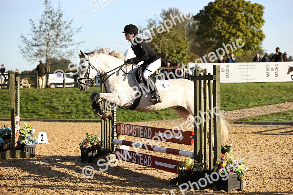 SBM_33083 - J38 - Senior 80cm Championship