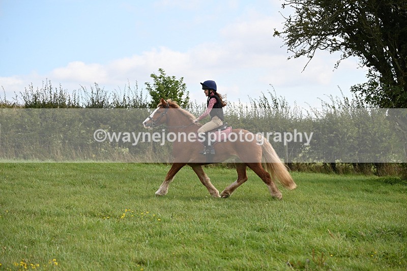 WJ6_7819 - Time 11:45 to 11:58