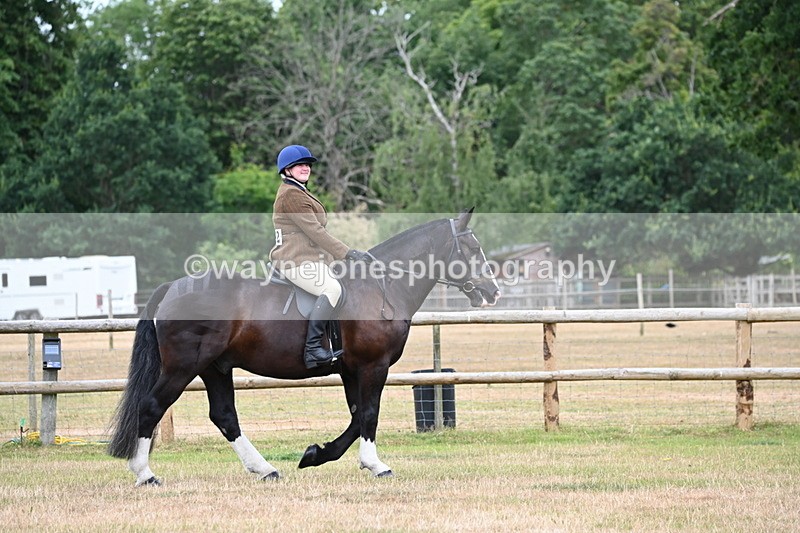 WJ6_3721 - Class 9 Tack & Turnout