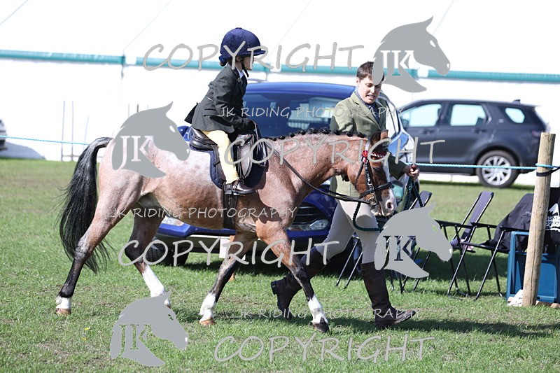 APP_3837 - Class 13 Lead rein