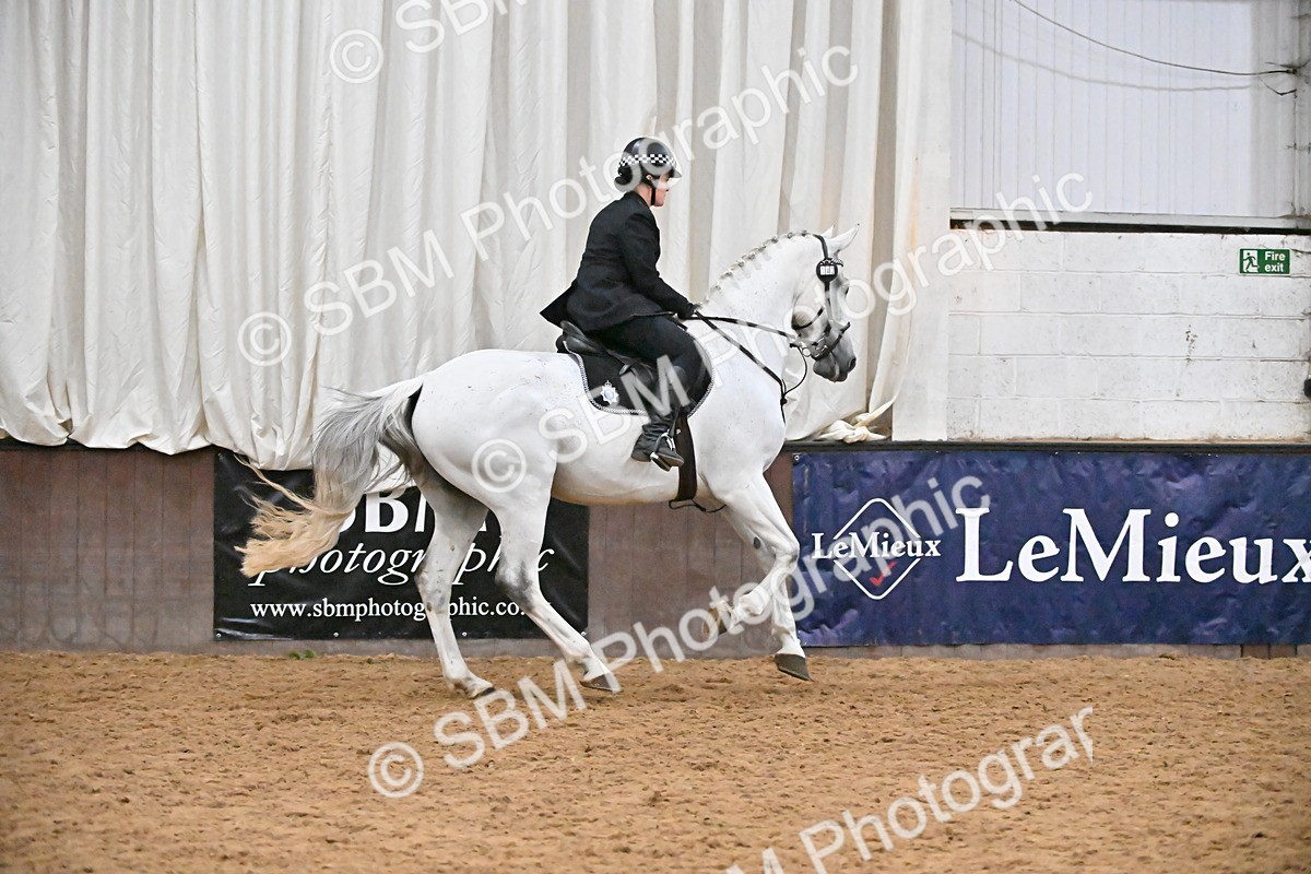 SBM_003054 - Class 37,38 - UKPSAF Performance Horse & Pony