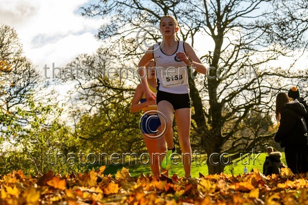 NatRel25-913733 - Young Female Set Two