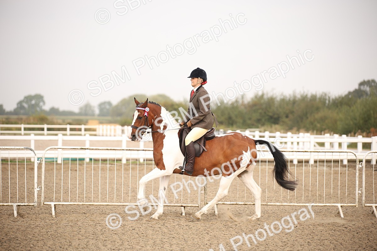 SBM_09714 - Class 401 Riding Club Pony