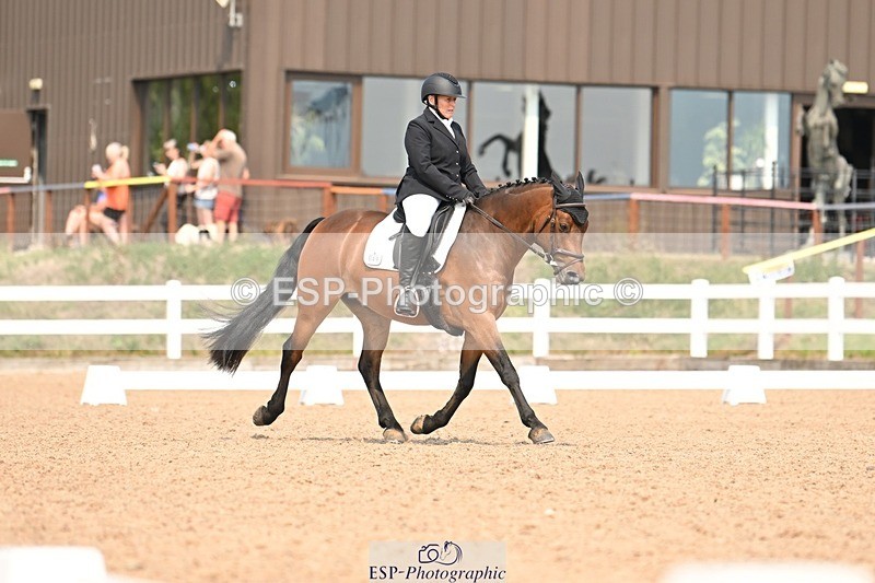 250816-141859-05078 - 049-Carolyn.GaleNewtown.Ringo