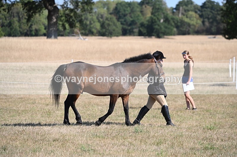 WJ6_7416 - Class 34 Judges Choice