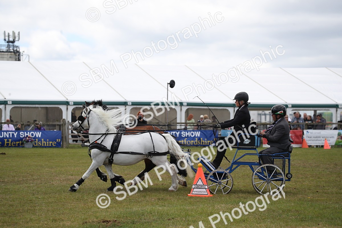 SBM_15449 - Class 90 - Scurry 122cm and Under