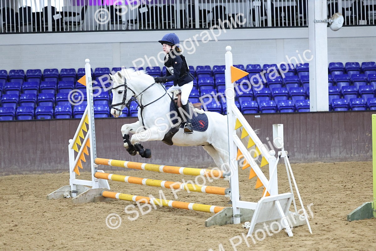 SBM_001015 - Class 3 - Christmas Tree Stakes - 60cm