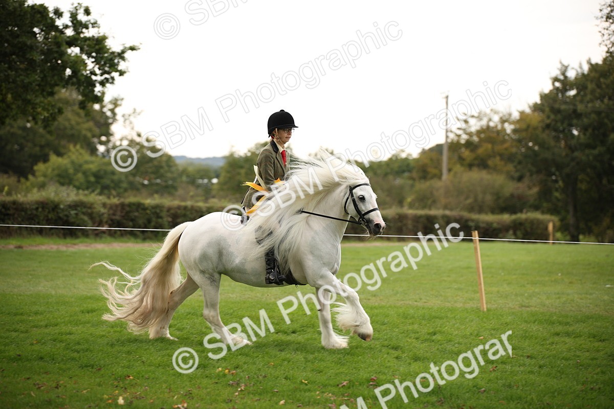 SBM_73604 - S68 - Traditional Cob Ridden