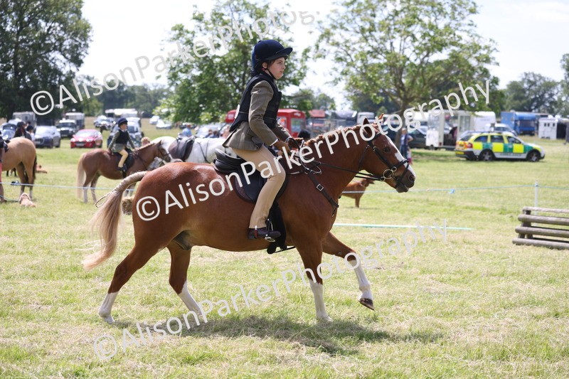 20260614-1942 - Class 21 - Novice Working Hunter Pony