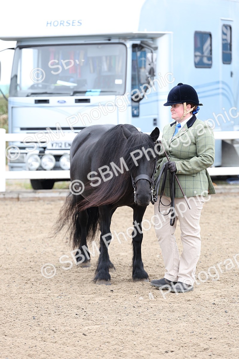 SBM_00061 - Class 50 - Best Turned Out IH