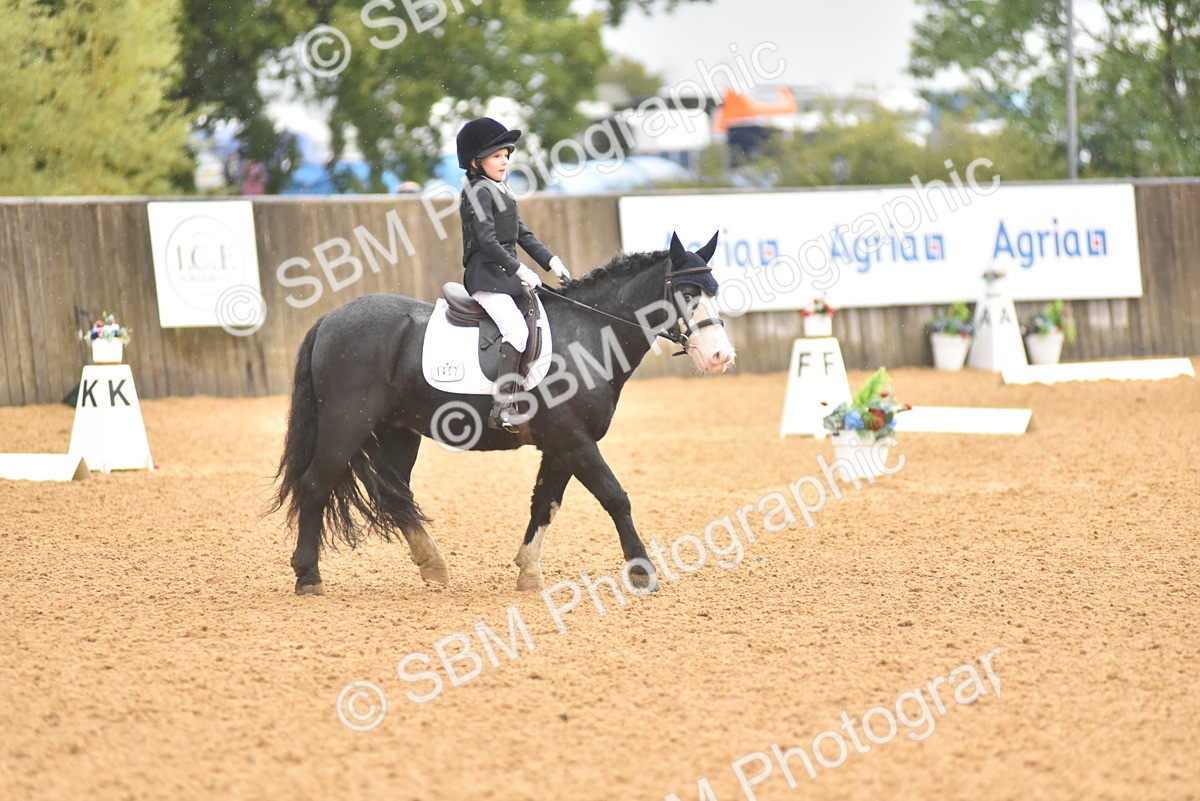 SBM_34772 - D26 & 27 Starter Test 1