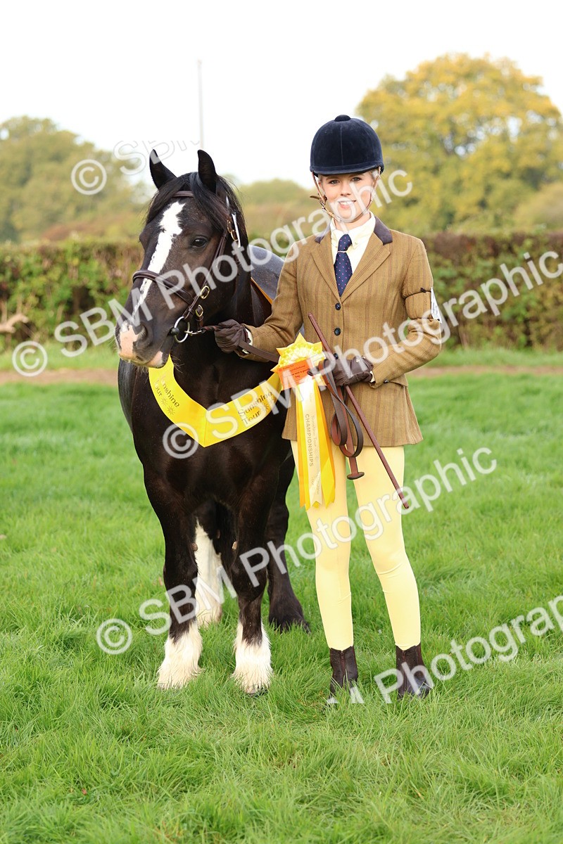 SBM_54901 - S39 - Starters In Hand Showing
