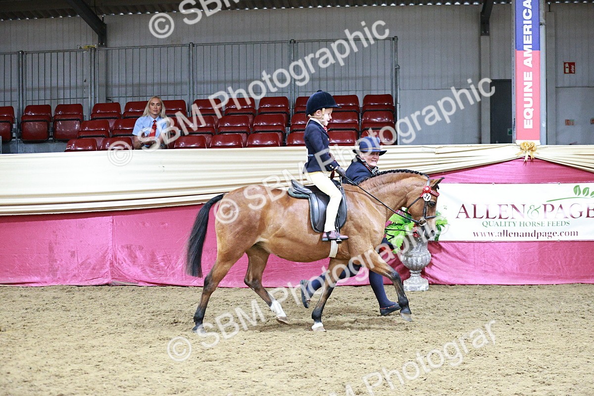 SBM_08400 - Class 11R - Regional Ridden Veteran