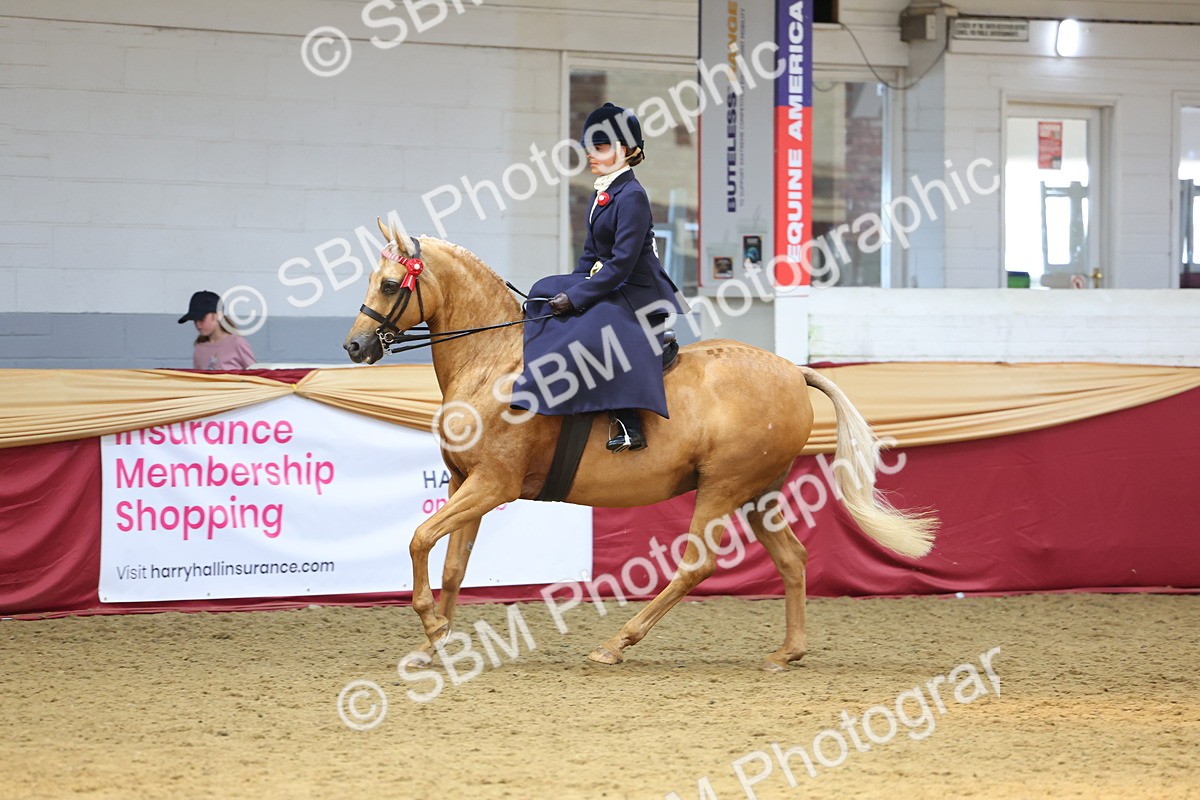 SBM_24466 - Class 906 - Supreme Final - Ridden Pre Vet