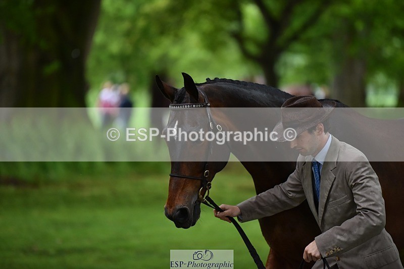 240522-161440-00807 - 162-HAZZLE_DAZZLE-Henry_Hobby