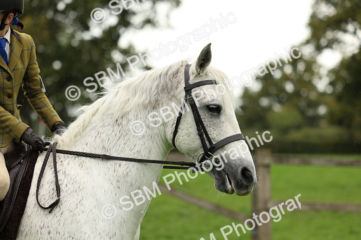 1I0A1451 - S32 - Mountain & Moorland Working Hunter Pony