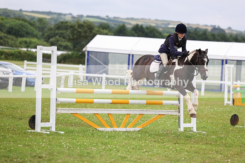 3E7A7000 - Class 7: PC90cm Regional Championship Qualifier Rnd 2 (A)