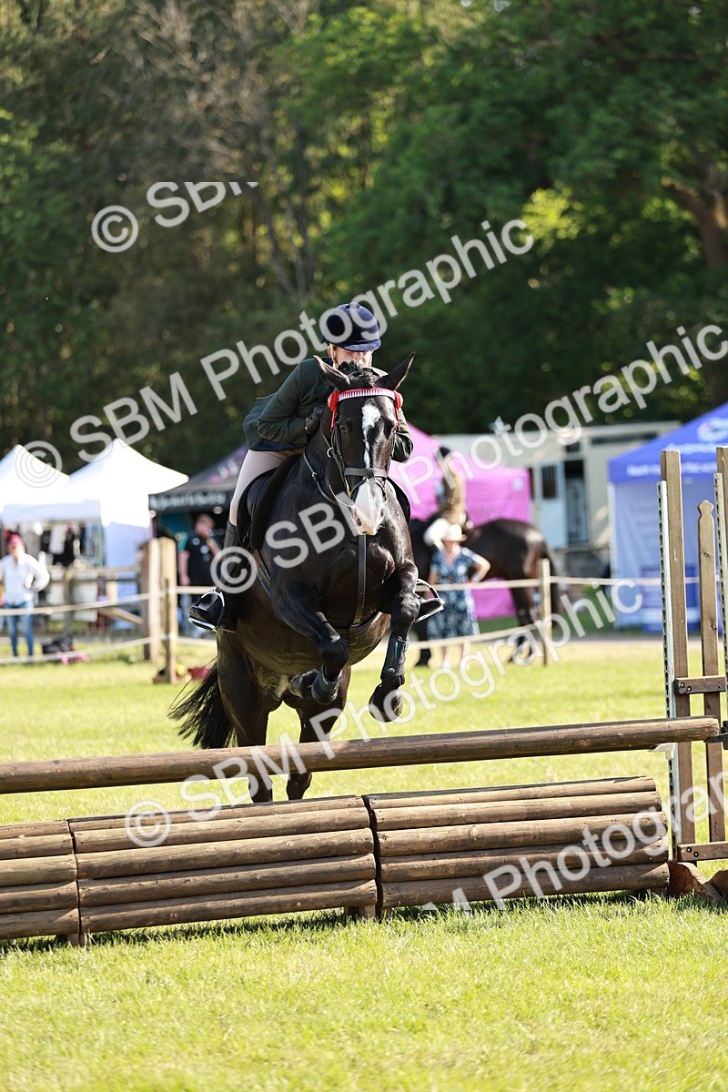 SBM_19193 - Class 115-116 - LIHS BSHA Rising Star Working Hunter & Show Horse