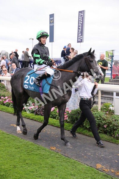 yr17082022r7-3 - Race 7 5.20pm Sky Bet Nursery Handicap