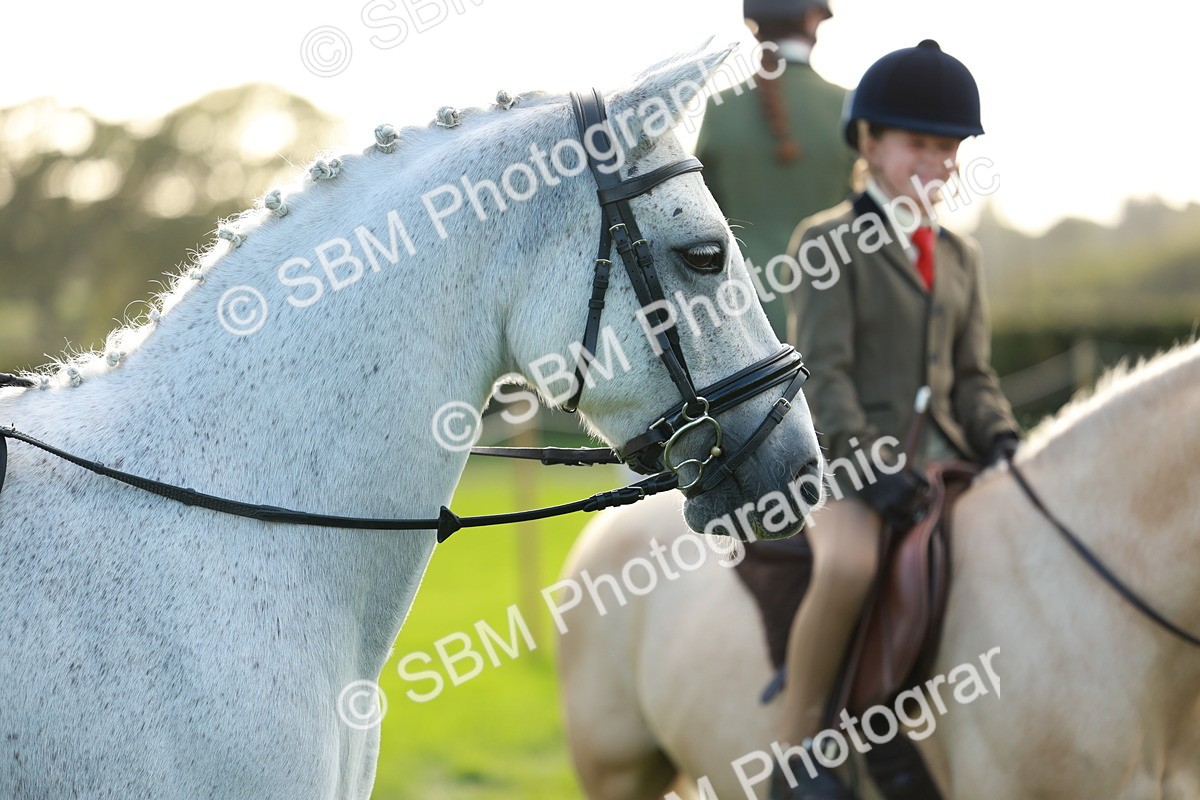 SBM_28805 - S7 - Novice & Newcomer Ridden Pony