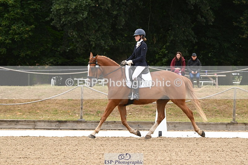 250720A-103154-09579 - 104-Molly.Northmore-Pennmoor.Liberation