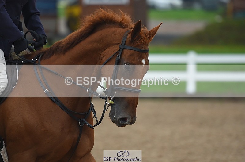 230916A-112502-03694 - Cls 21 British Novice & 90cm Open