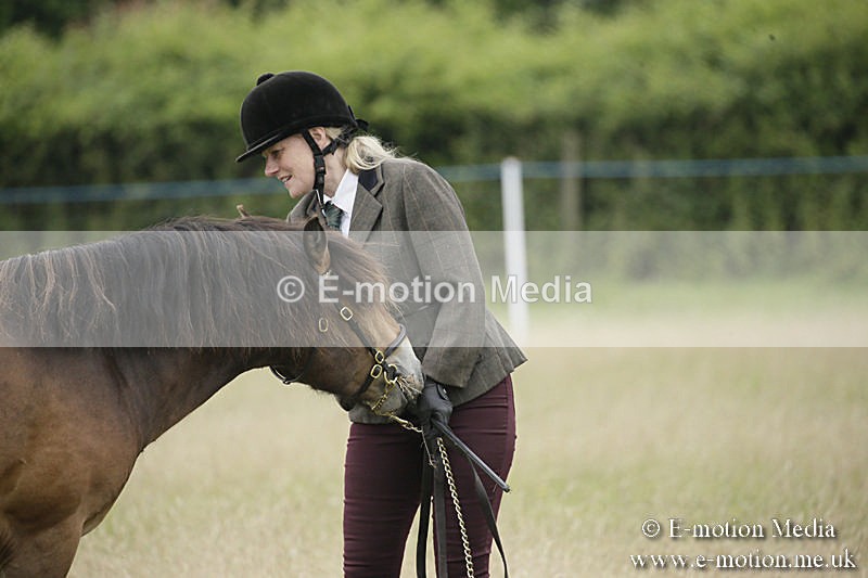 B230619-0077 - Bourne Valley Riding Club Summer Show 23/06/19