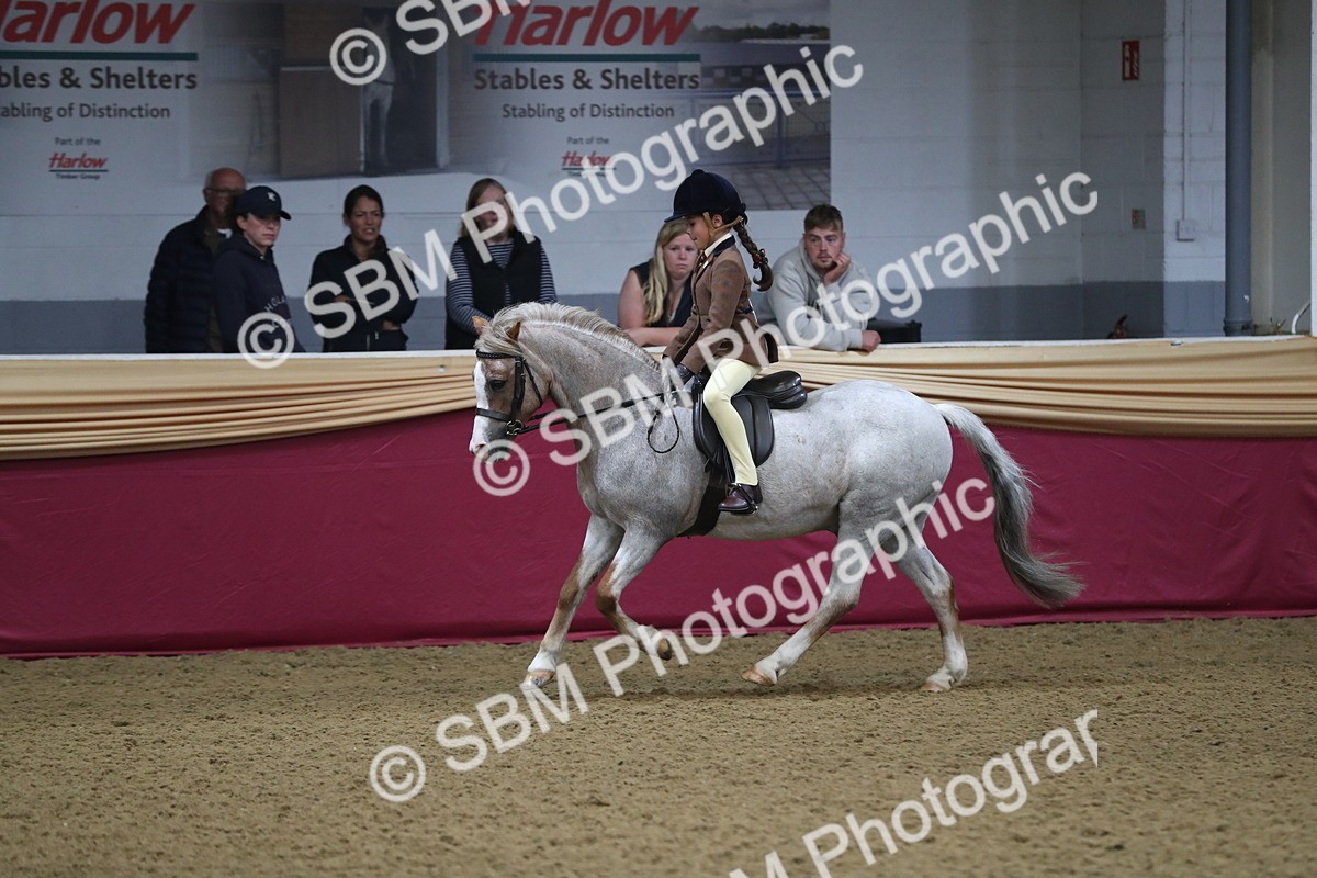 SBM_09351 - Class 101 Equitation (best rider), Junior