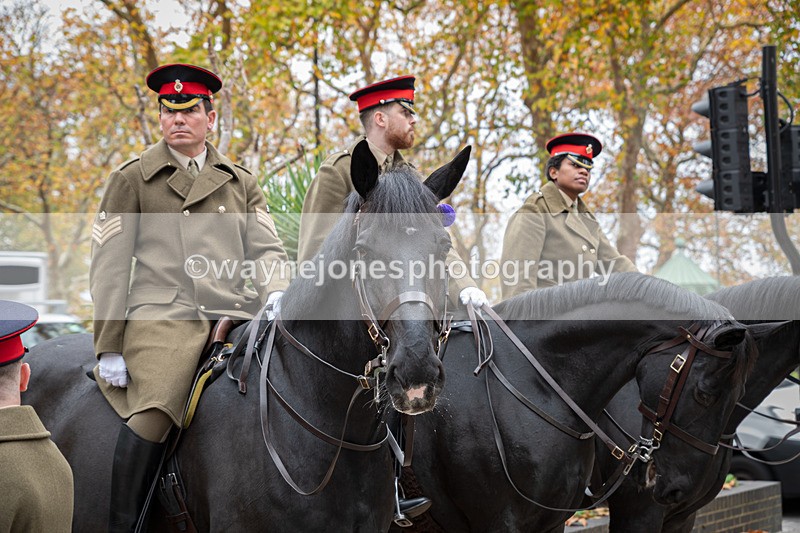 Z62_4452 - Animals In War Memorial 2025 - Park Lane, London