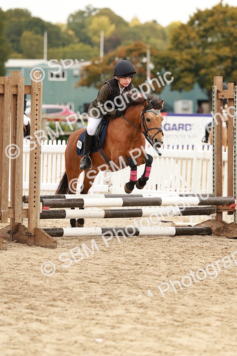 SBM_57615 - J11 - Junior Pony 50cm Championship