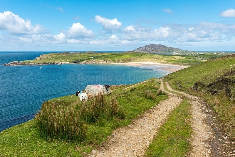 _MF24311 - North Inishowen