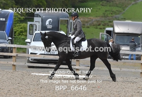BPP_6646 - 42 L MCKIRDY