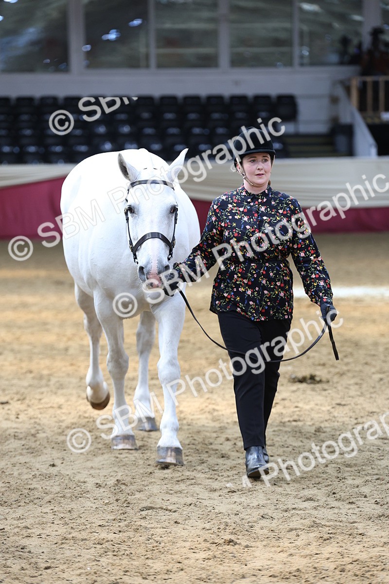 SBM_23338 - Class 903 - Supreme Final - IH Pre Vet