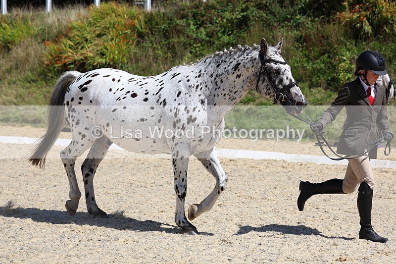 3E7A9440 - Class 29: Veteran In Hand