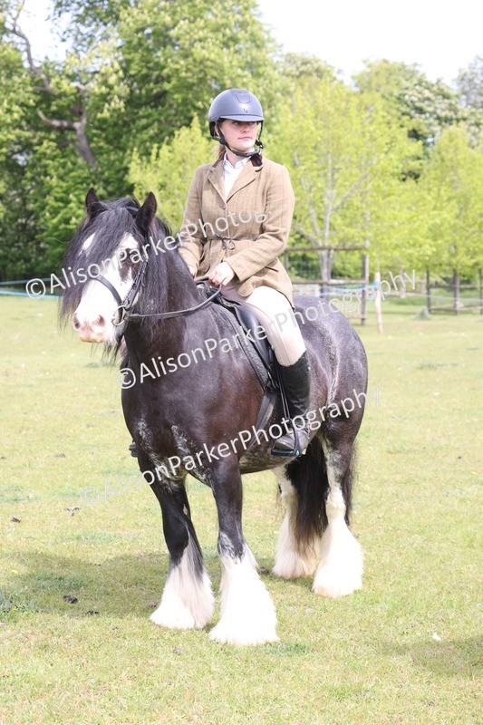 20260426-2999 - Class 33 - Best Pony 14.2hh and Under