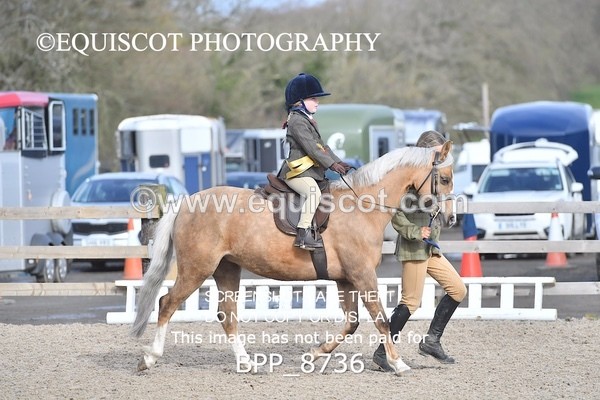 BPP_8736 - TRAINING STAKES