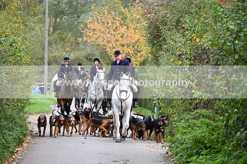 WJ6_8315 - Walk Home..